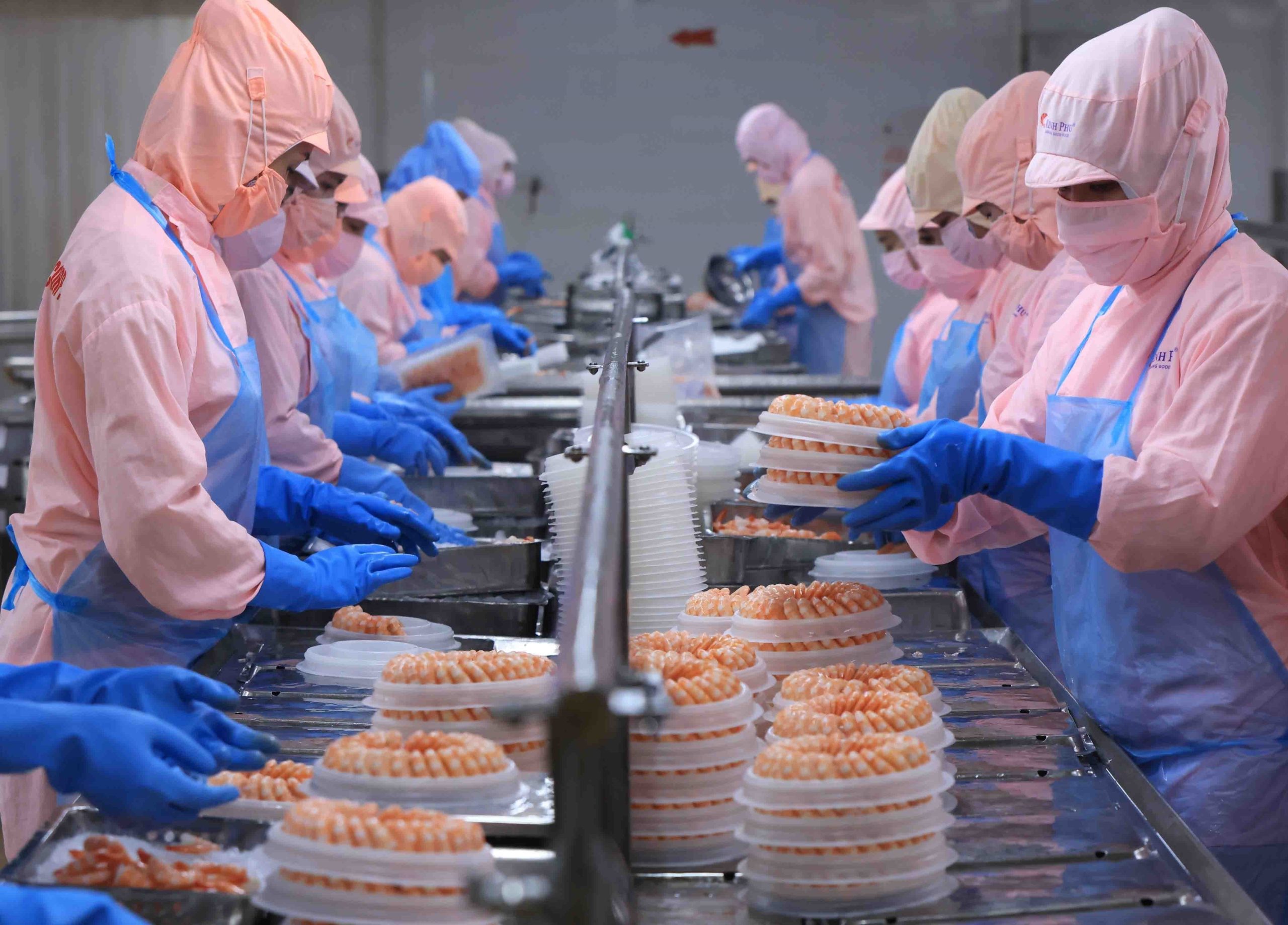 Tôm tiếp tục là sản phẩm xuất khẩu chủ lực của Cà mau